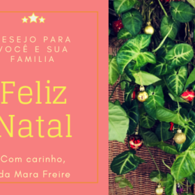 Vamos Meditar no Natal