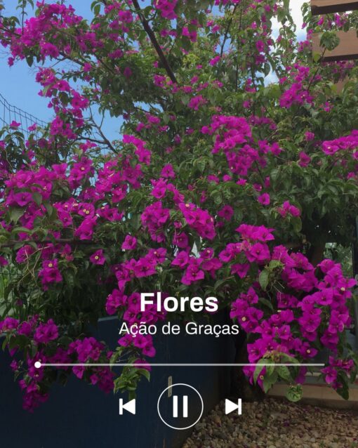 Tempo de Agradecer